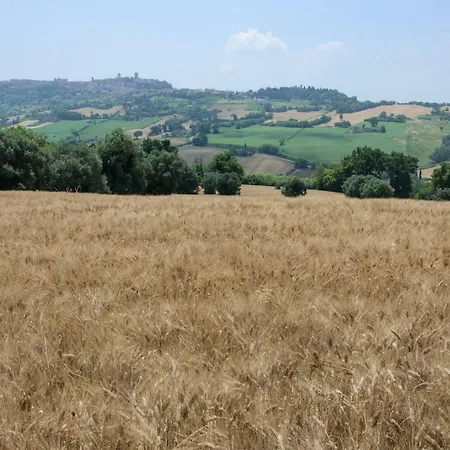 Tatil Evi Azzurro