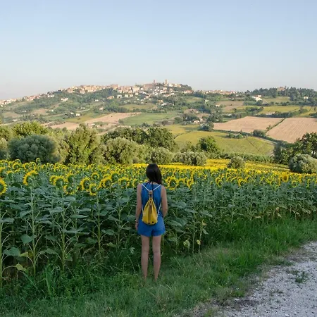 Azzurro Σπίτι διακοπών Osimo