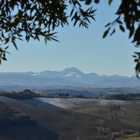 Azzurro * Osimo