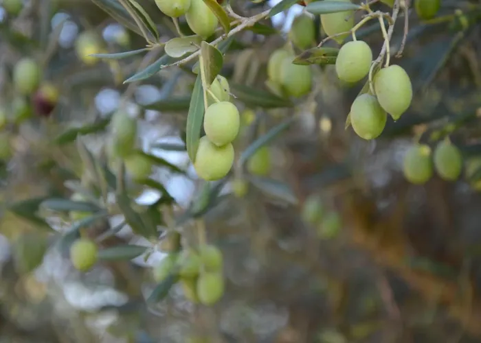 Casa vacanze Azzurro