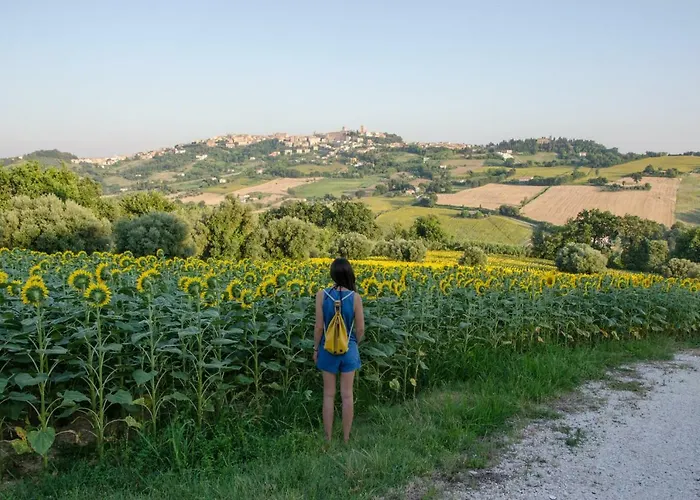 Azzurro Casa vacanze Osimo